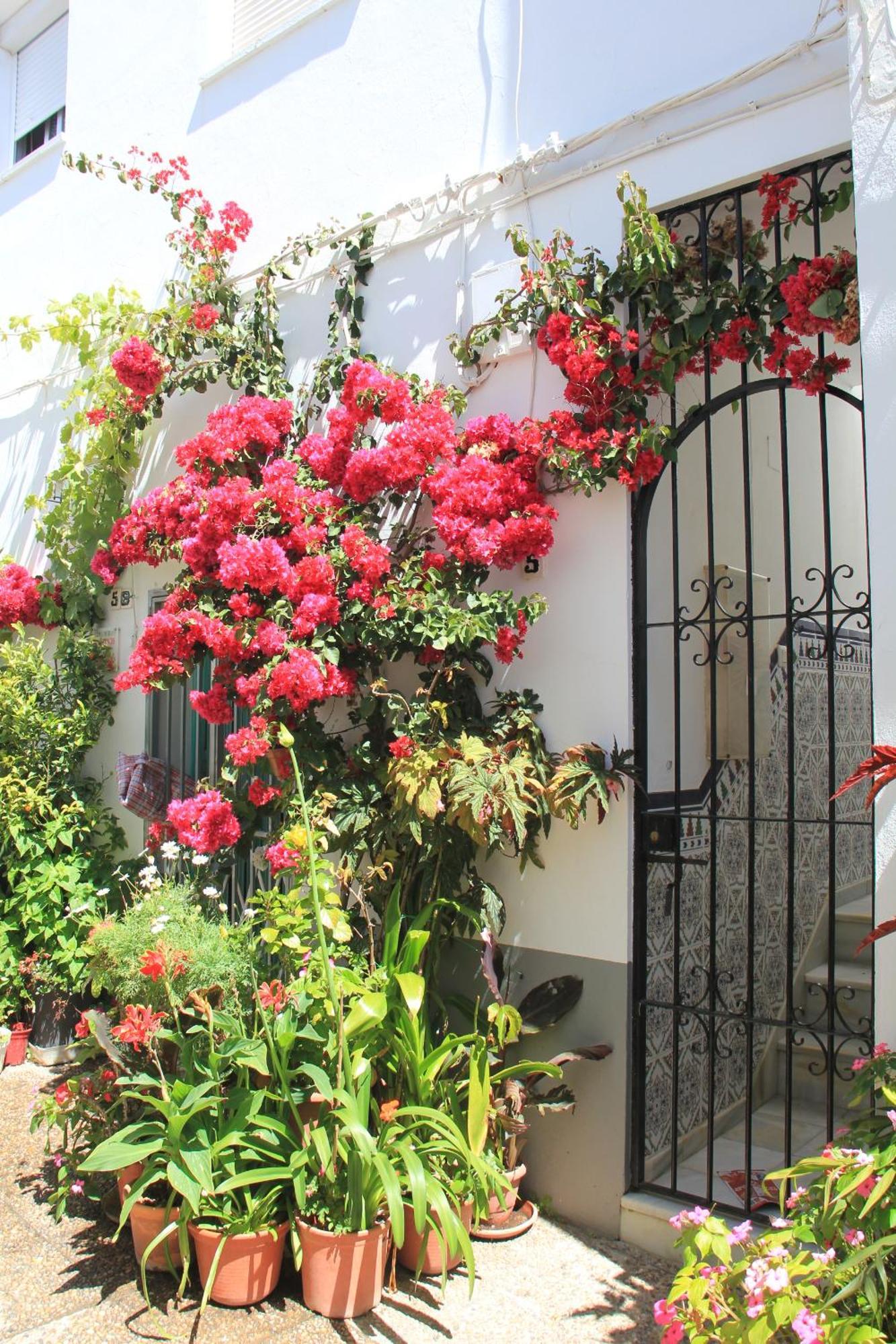 Ferienhaus Casa Magallanes Conil